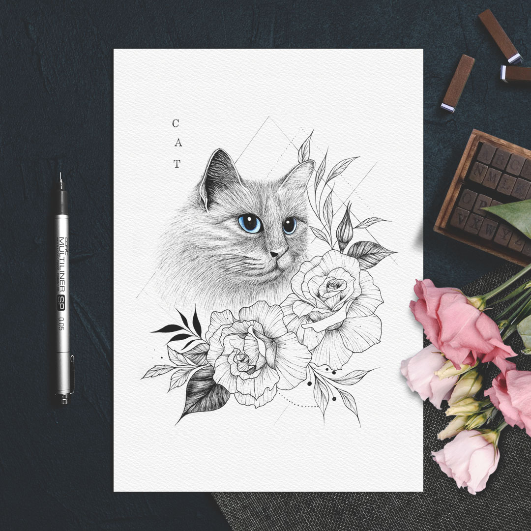 cat